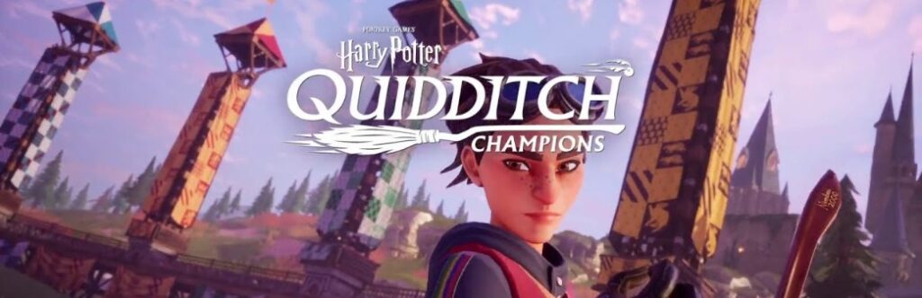 Quidditch Champions