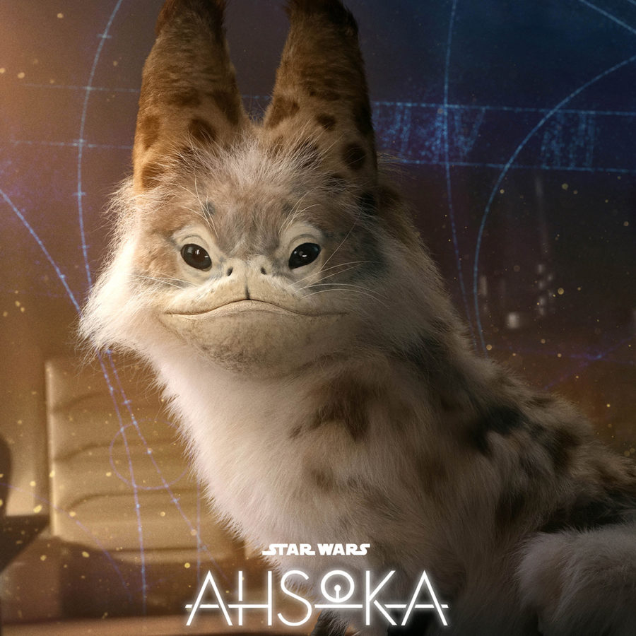 Star Wars: Ahsoka's - gato-loth ganha pôster